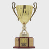 Triumph Cup Perpetual - product video
