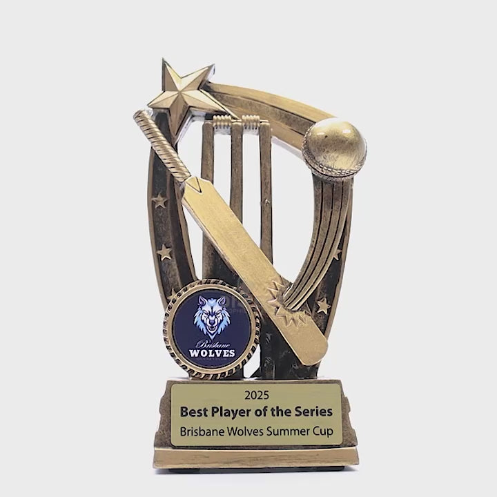 Maverick Cricket Trophy