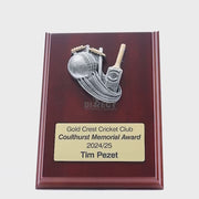 Plaque Peak Cricket