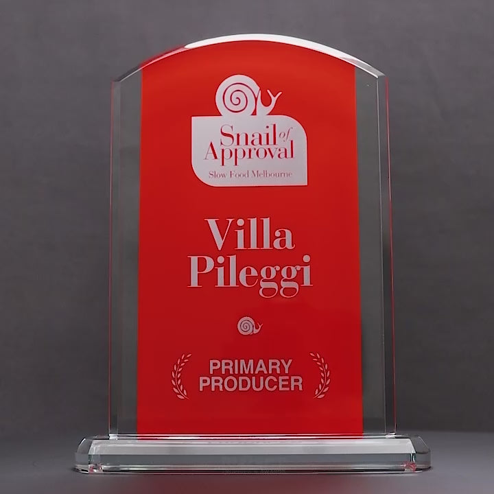 Altra Arch Glass Red Trophy
