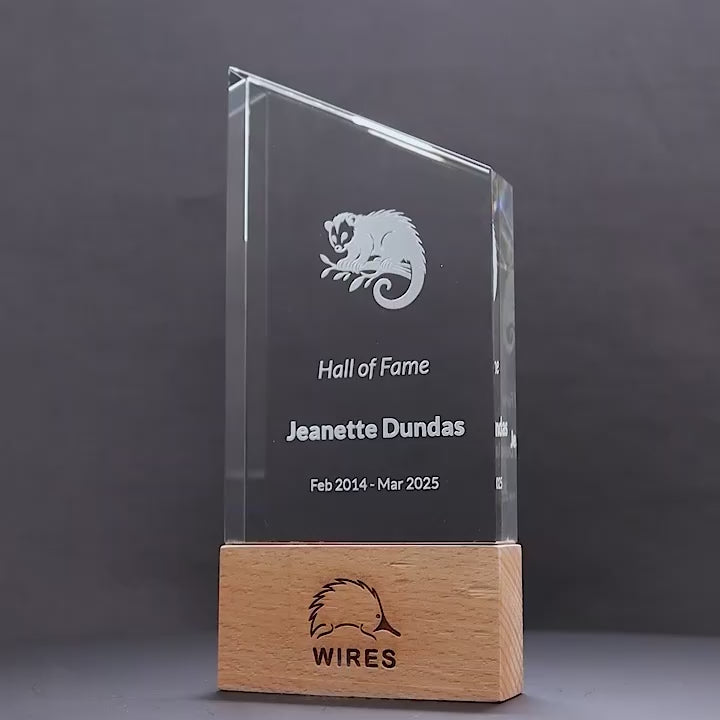 Terrax Crystal Wood Trophy