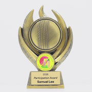 Vesta Cricket Ball Trophy - product video