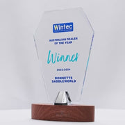 Lucent Glass Crest Colour Trophy