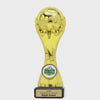 Football Gold Trophy - product video