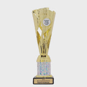 Zylo Cup Gold - product video
