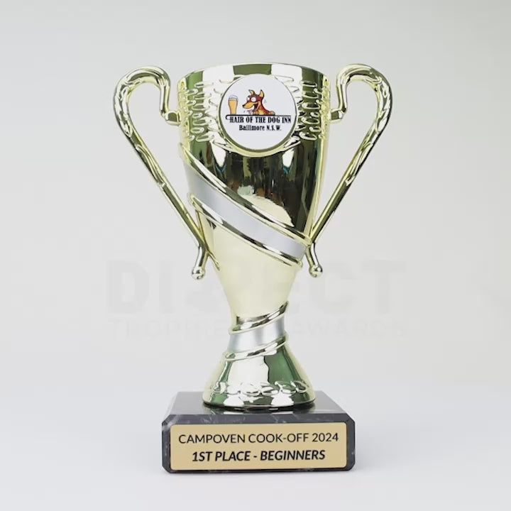 Savel Cup Trophy Gold Silver