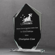 Silvershift Arrowhead Glass Trophy