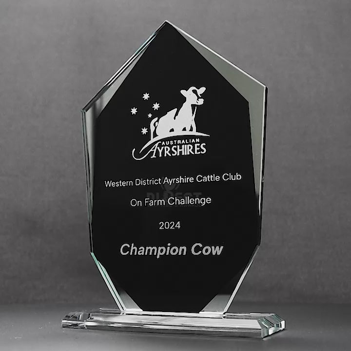 Silvershift Arrowhead Glass Trophy
