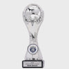 Football Silver Trophy - product video