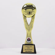 Gavion Netball Trophy