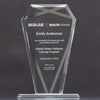 Luminaire Award - product video