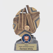 Surgestar Cricket Trophy