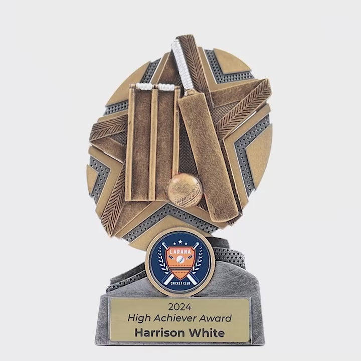 Surgestar Cricket Trophy