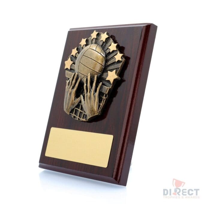 Cosmos Volleyball Mahogany Plaque - Image 2
