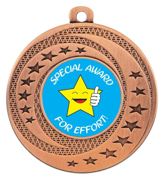 Wayfare Special Award Medal - Image 5