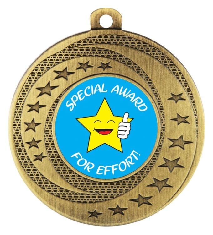 Wayfare Special Award Medal