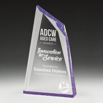 Acrylic Charger Award Purple