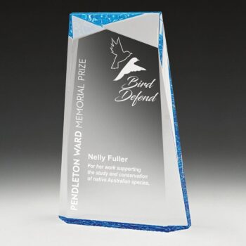Acrylic Award Blue