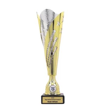 Omira Gold Silver Cup