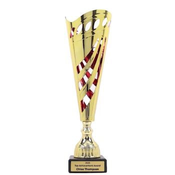 Stratus Gold Red Cup