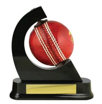 Cricket Ball Holder Award