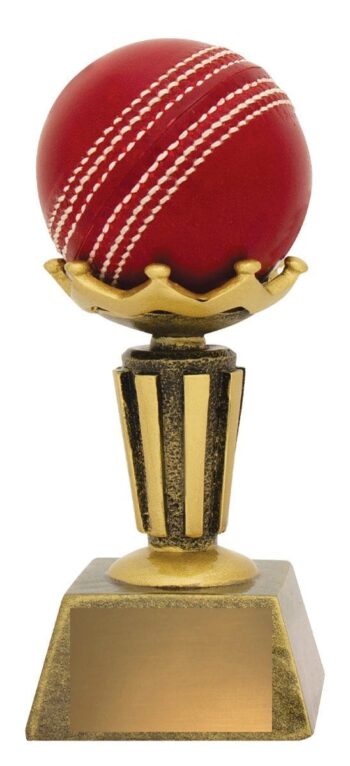 Cricket Ball award