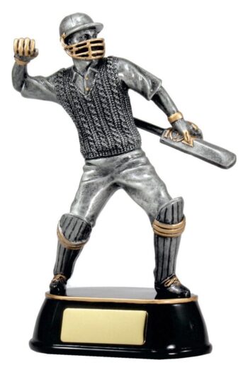 Cricket Player Celebration Award