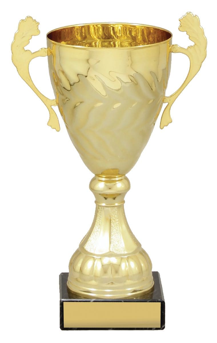 Engenia Gold Cup - Image 2