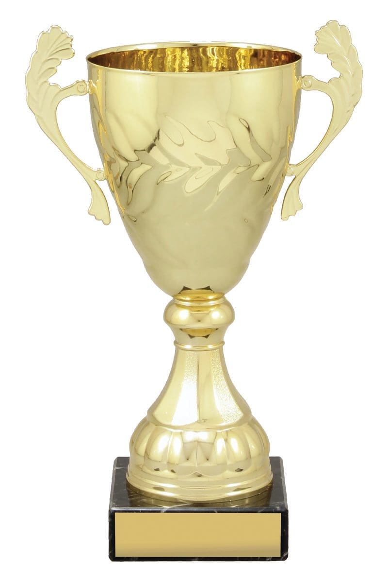 Engenia Gold Cup - Image 4