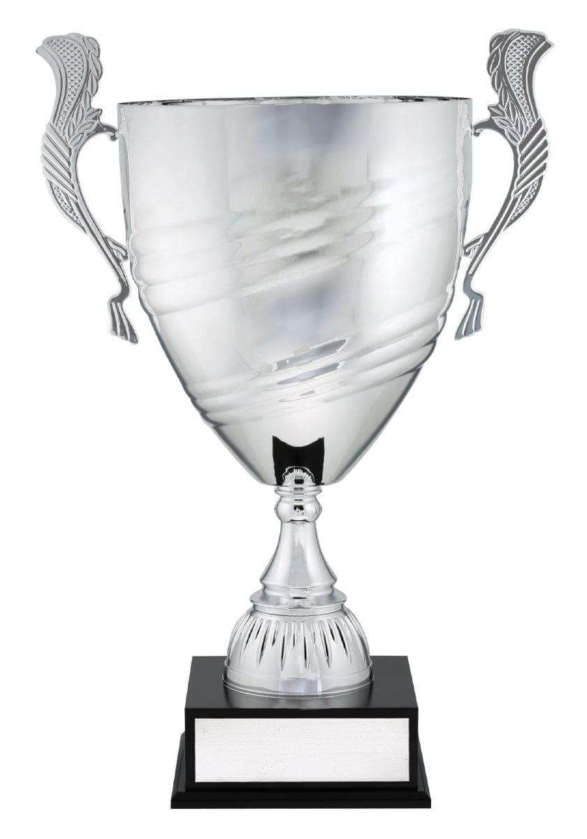 Eminence Premium Silver Cup - Image 3