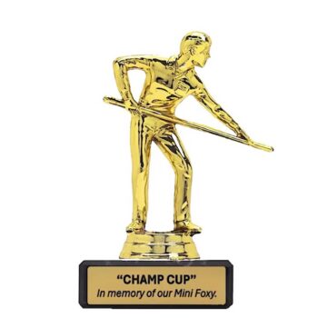 Pool Snooker Figure Trophy