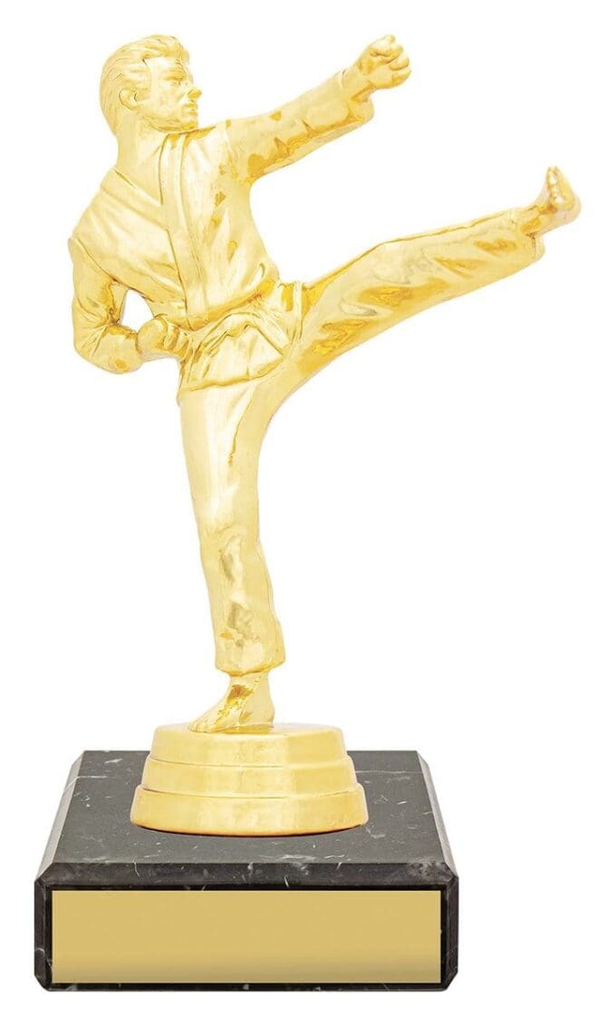 Male Karate Figure Trophy