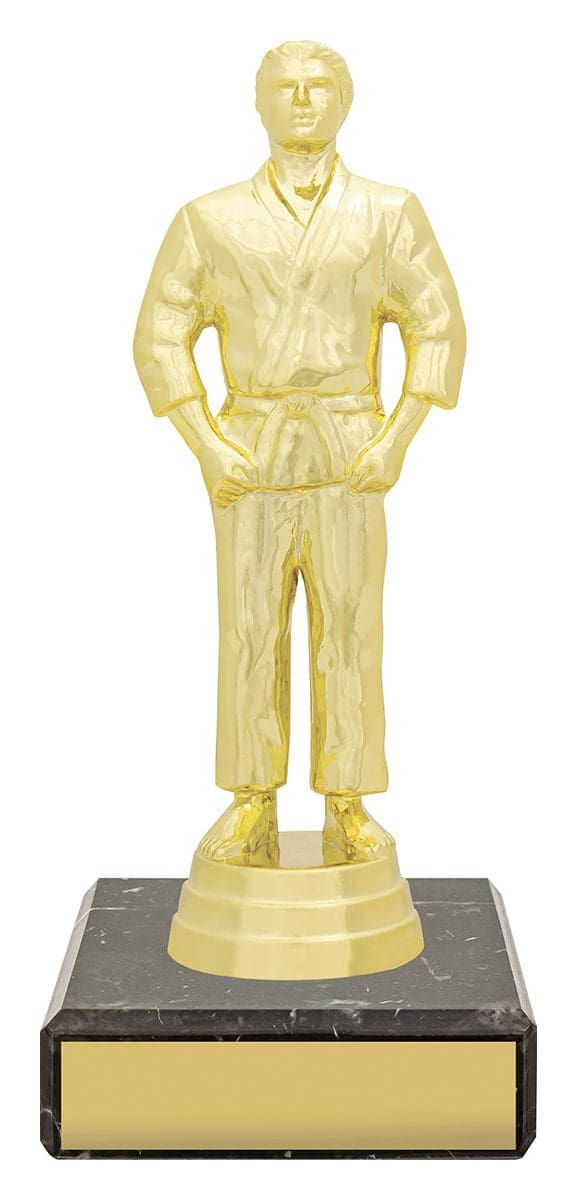 Male Judo Figure Trophy