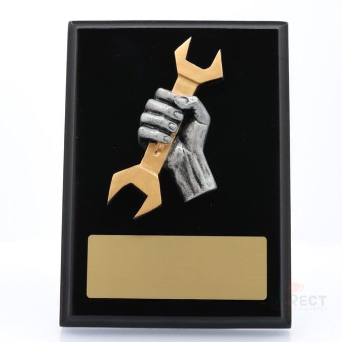 Spanner Award funny trophies