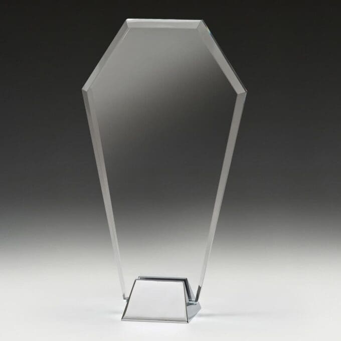 Albion Metallic Trophy - Image 2