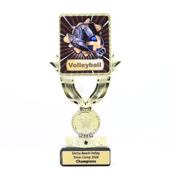 Lynx Sentry Volleyball