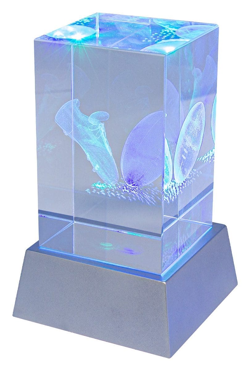 Luminary Rugby League Union Crystal Trophy