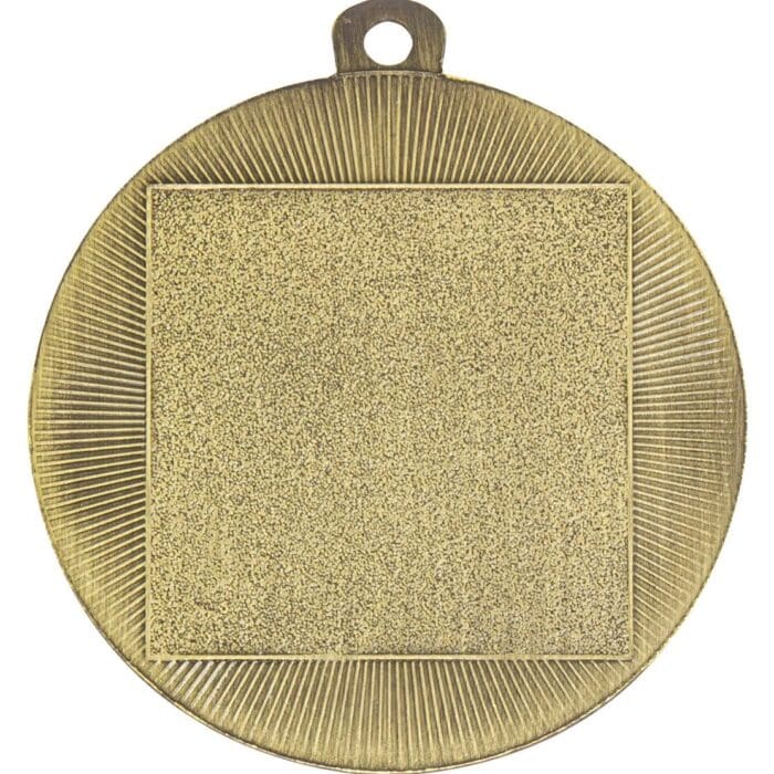Wayfare Achievement Medal - Image 2