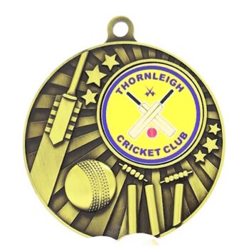 Blitz Cricket Gold Medal