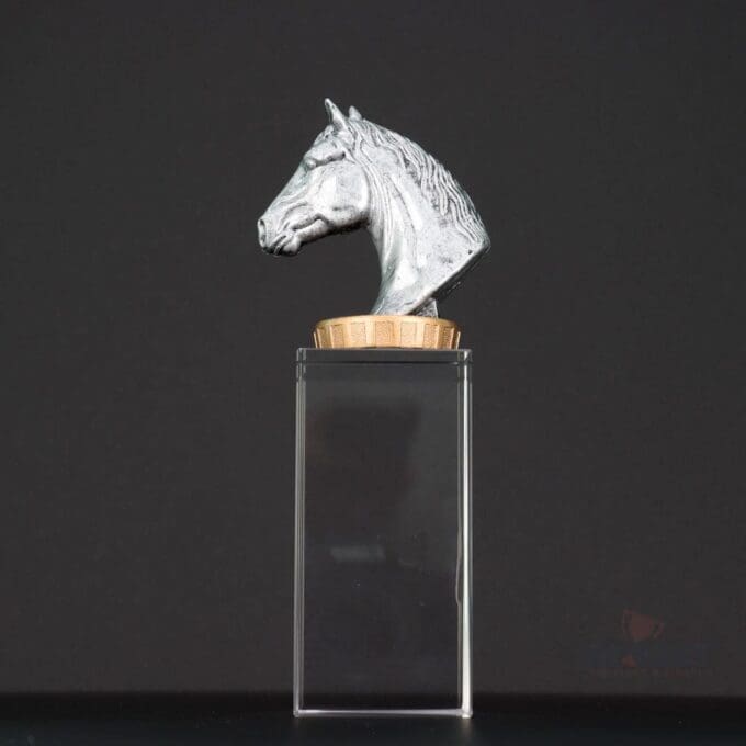 Horse Budget Crystal Trophy