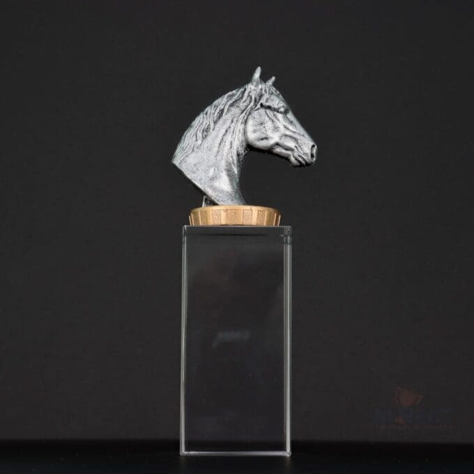 Horse Budget Crystal Trophy - Image 5