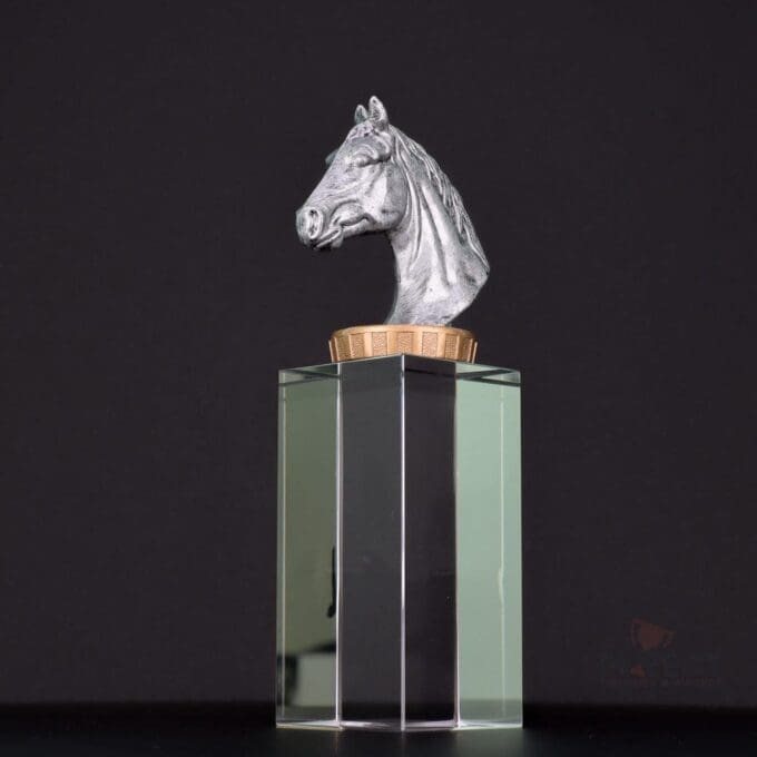 Horse Budget Crystal Trophy - Image 8