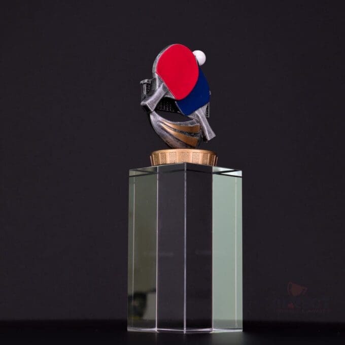 Table Tennis Budget Crystal Trophy - Image 8