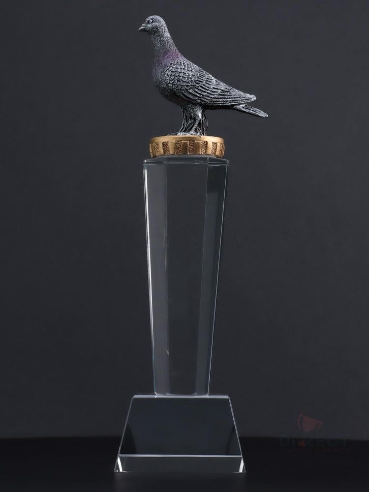 Pigeon Pedestal Trophy - Direct Trophies and Awards