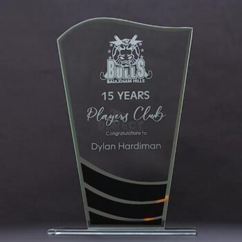 Black Tailwind Trophy